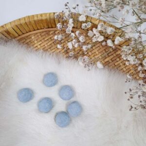 Blossombs Zaadbommetjes 25 stuks - Misty Blue