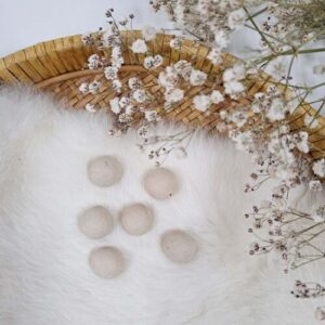 Blossombs Zaadbommetjes 25 stuks - Ivory