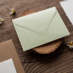 Envelop - Kiwi