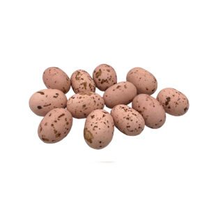 Cookie Choc's Nuance - Oudroos met bruine spikkels