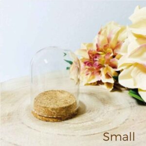 Glazen globe op kurk small 5x7 cm